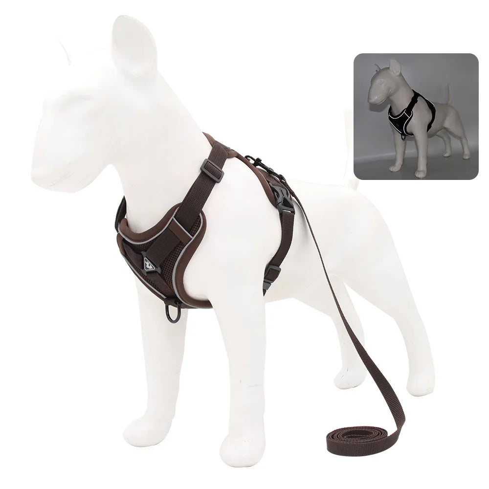 PawSecure Harnas & Lijn Set