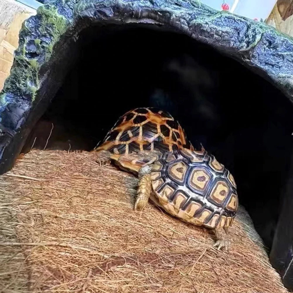 EcoTera Natuurlijke Terrarium Bodemmat