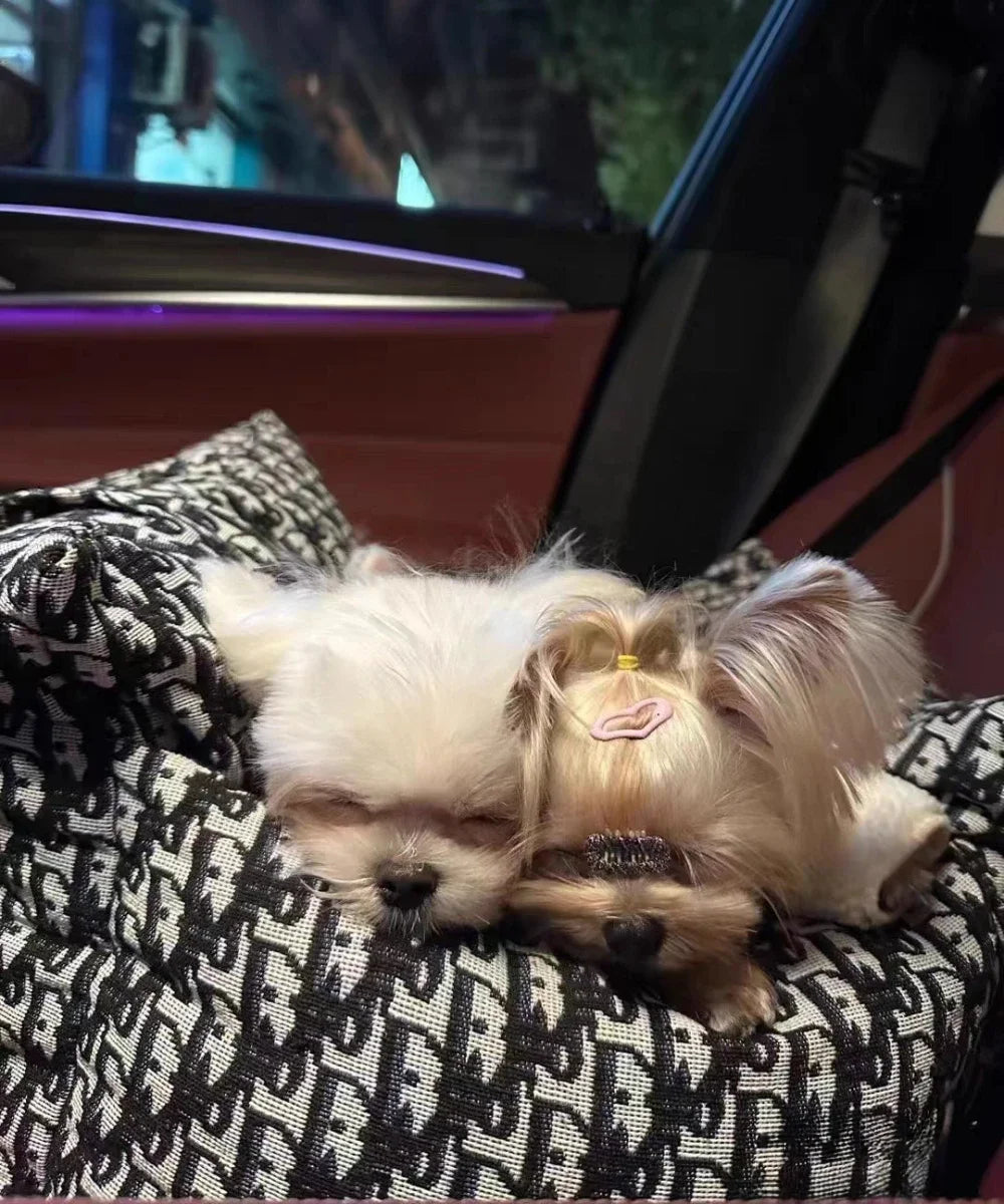 Dog Car Kennel – Afneembare en Wasbare Huisdierkennel voor Herfst & Winter