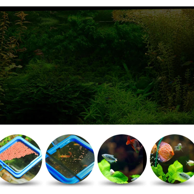 AquaRing Voedingsring voor Aquarium