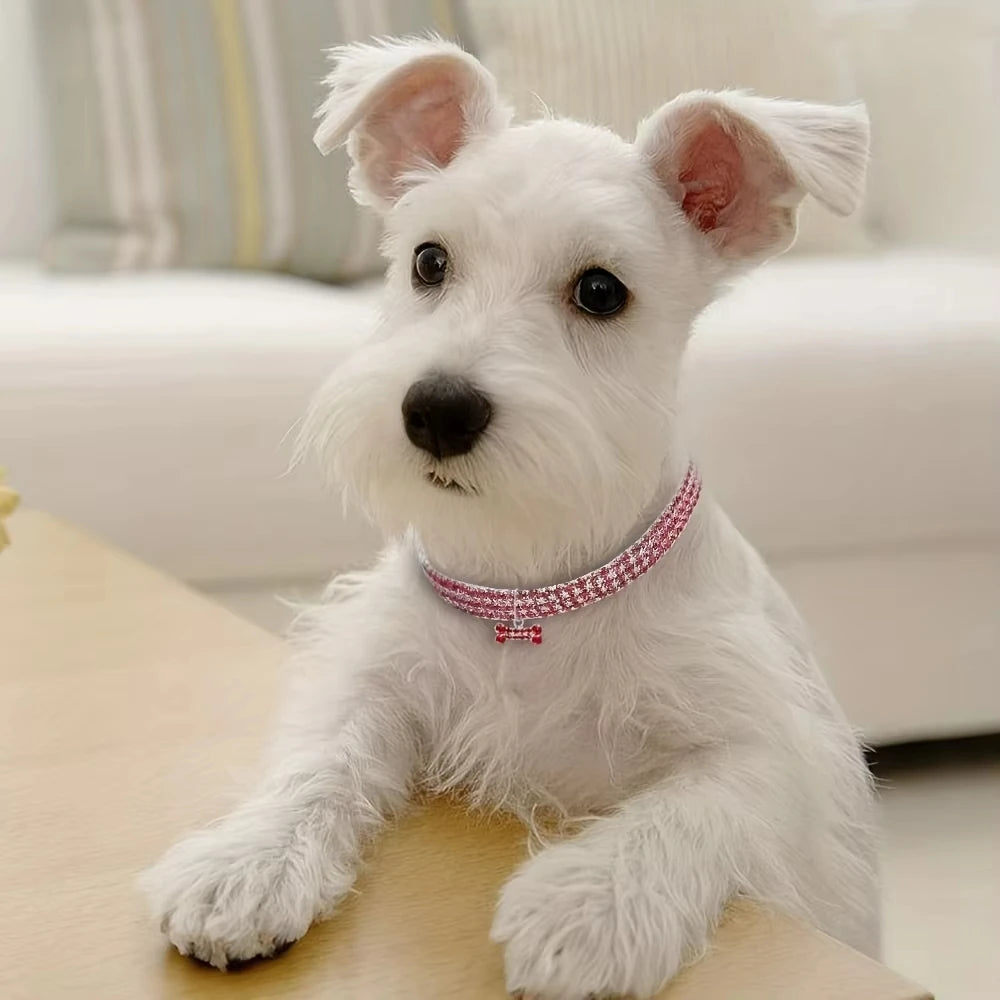 GlamBone Luxe Honden- & Kattenhalsband