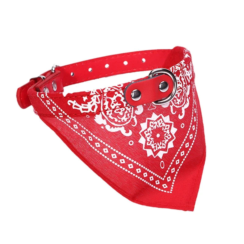 STYLPET PU Halsband met Sjaaltje
