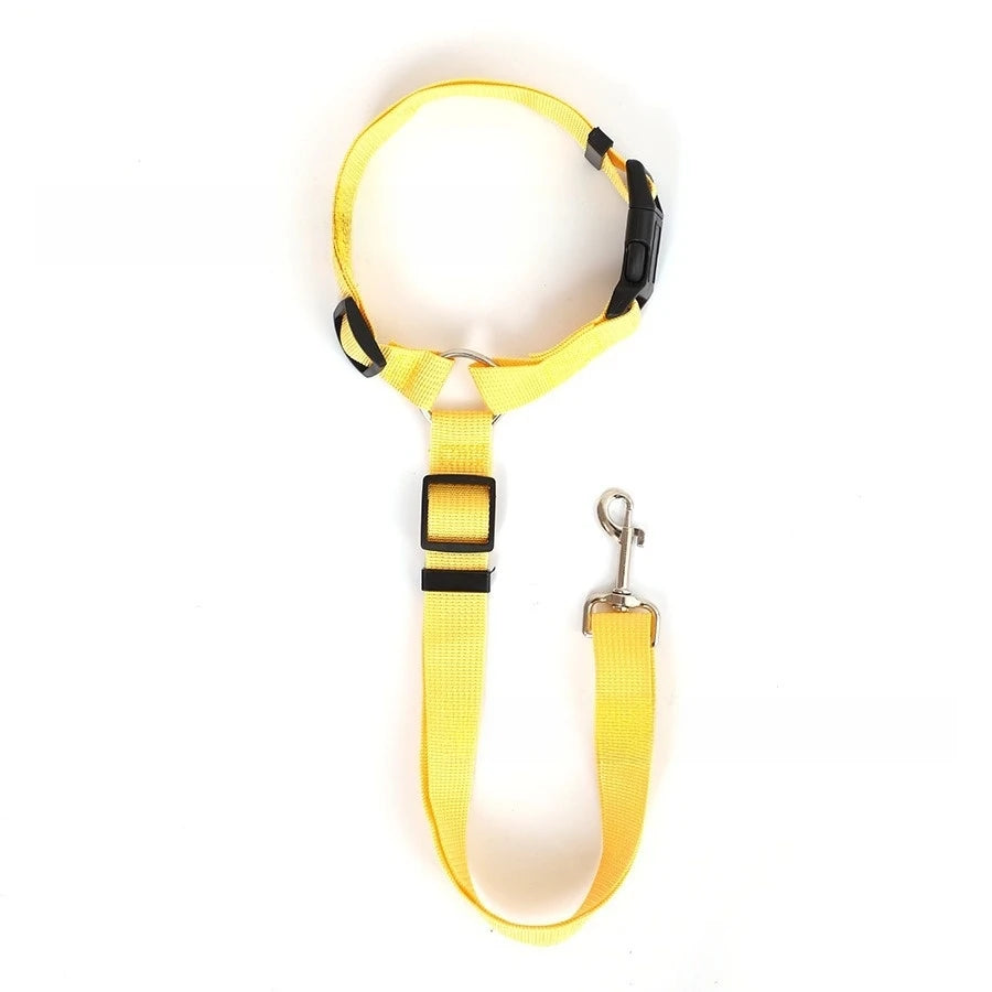 Dubbele Autogordel voor Honden – Verstelbaar Nylon, 120 cm