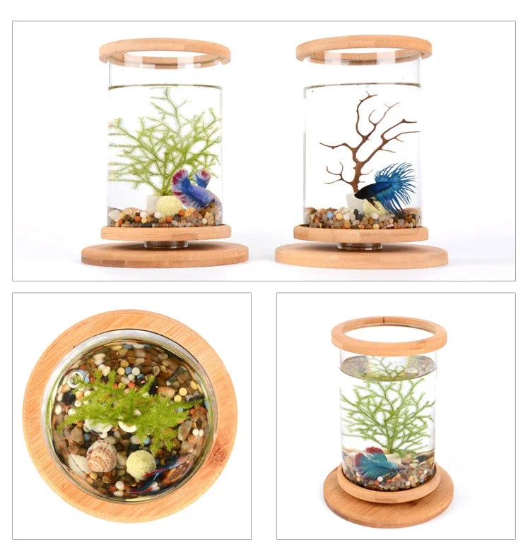 AquaGlow LED Cilindrisch Mini Aquarium