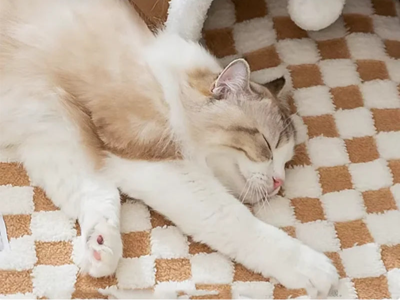 Katten Tunnelbed Pluche 2-in-1 - Met Speelballetjes