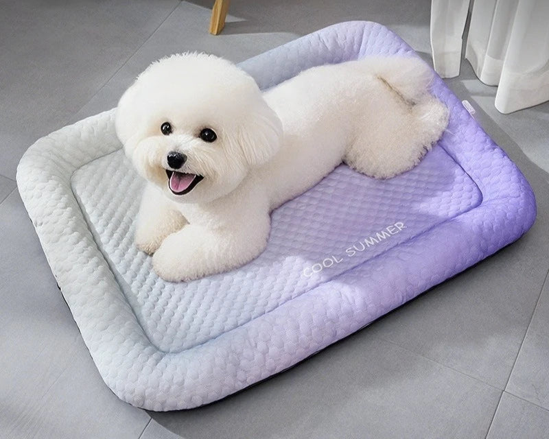 COOLPAWS – Verkoelend Huisdierenmatras voor Hond & Kat