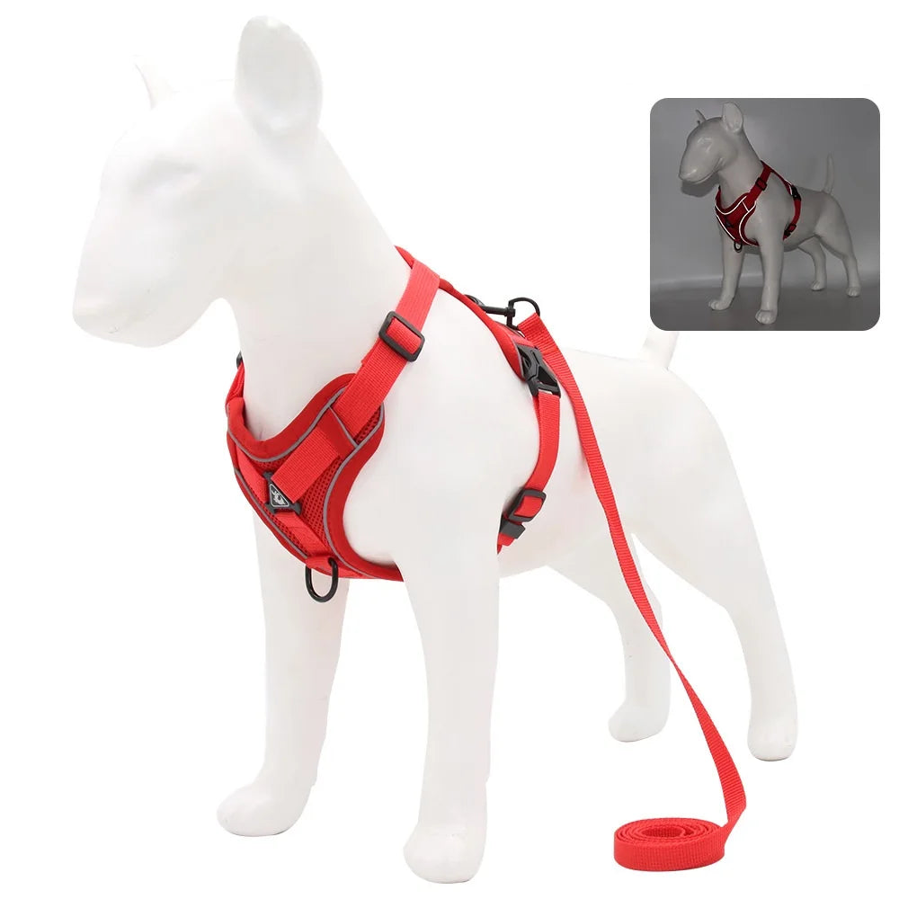 PawSecure Harnas & Lijn Set