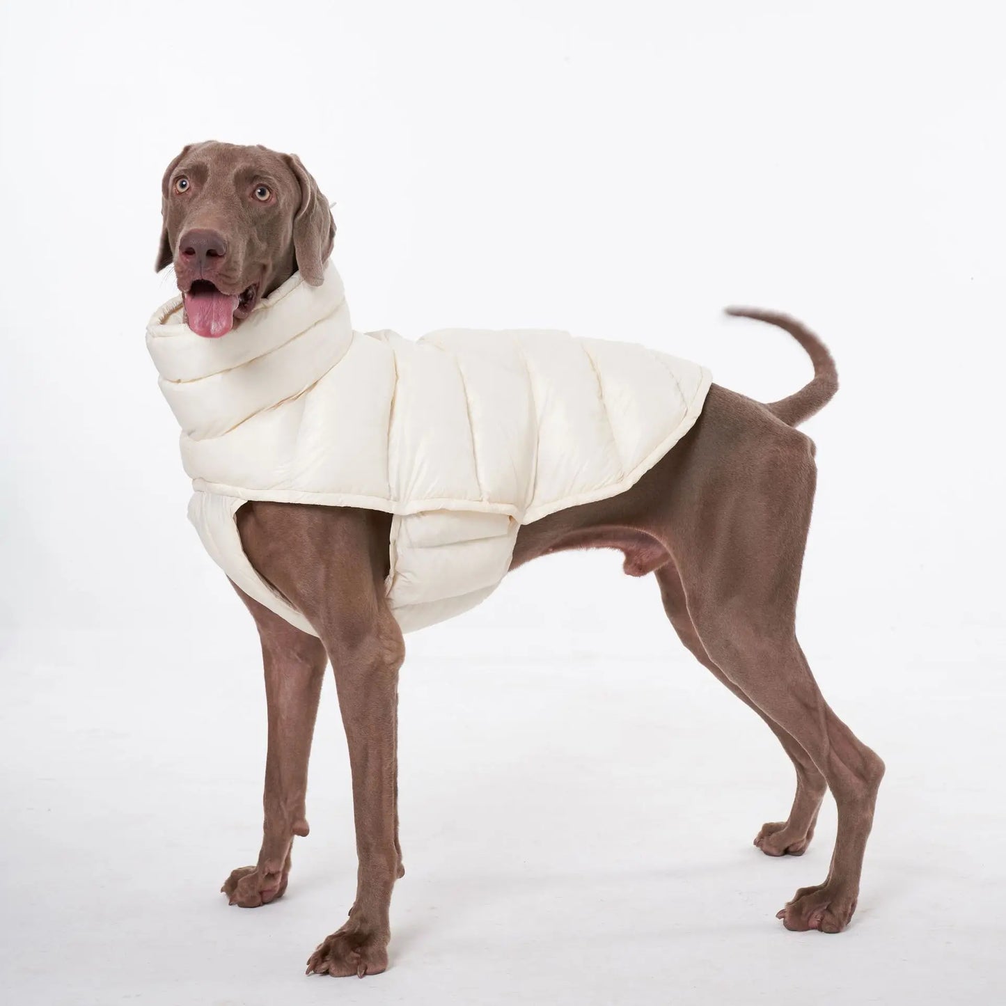 Premium Winter Windproof Hondenvest