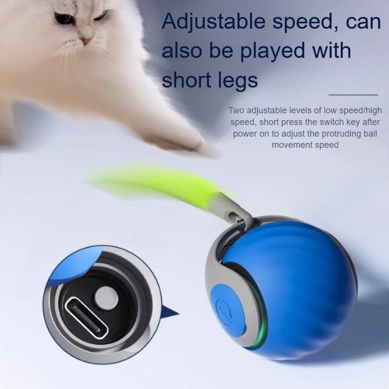 Interactieve Kattenbal met Neptail – USB-oplaadbaar Silicone Speelgoed