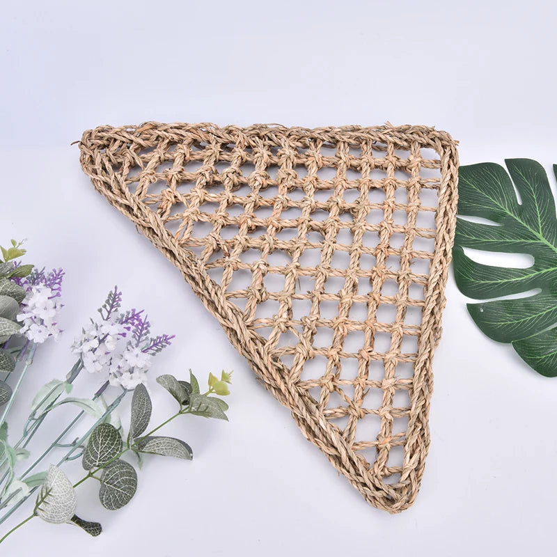 Hagedis Lounger Hangmat Mat