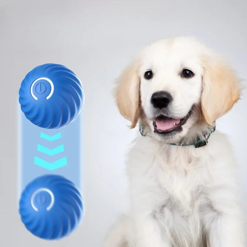 JumpiBall – Intelligente Springbal voor Honden