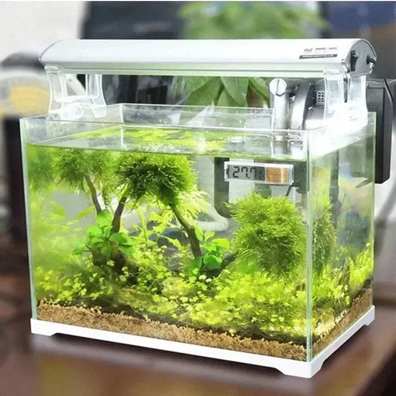 AquaView Digitale LCD Aquarium Thermometer