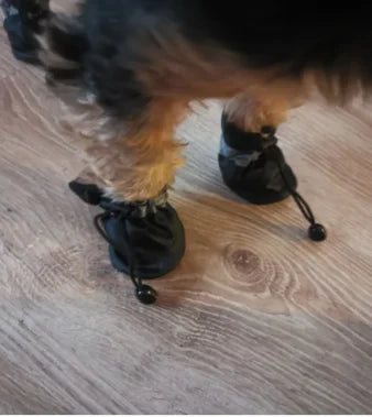 SnuffelBuddy Corduroy Hondenspeeltje