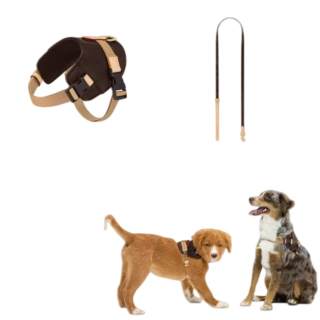 UrbanSafe Pets – Trendy Borstharnas + Lijnset voor Kat & Hond