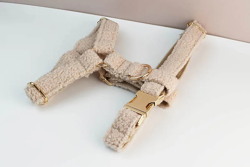 TeddyVeluxe Gepersonaliseerde Hondenhalsband & Riemenset