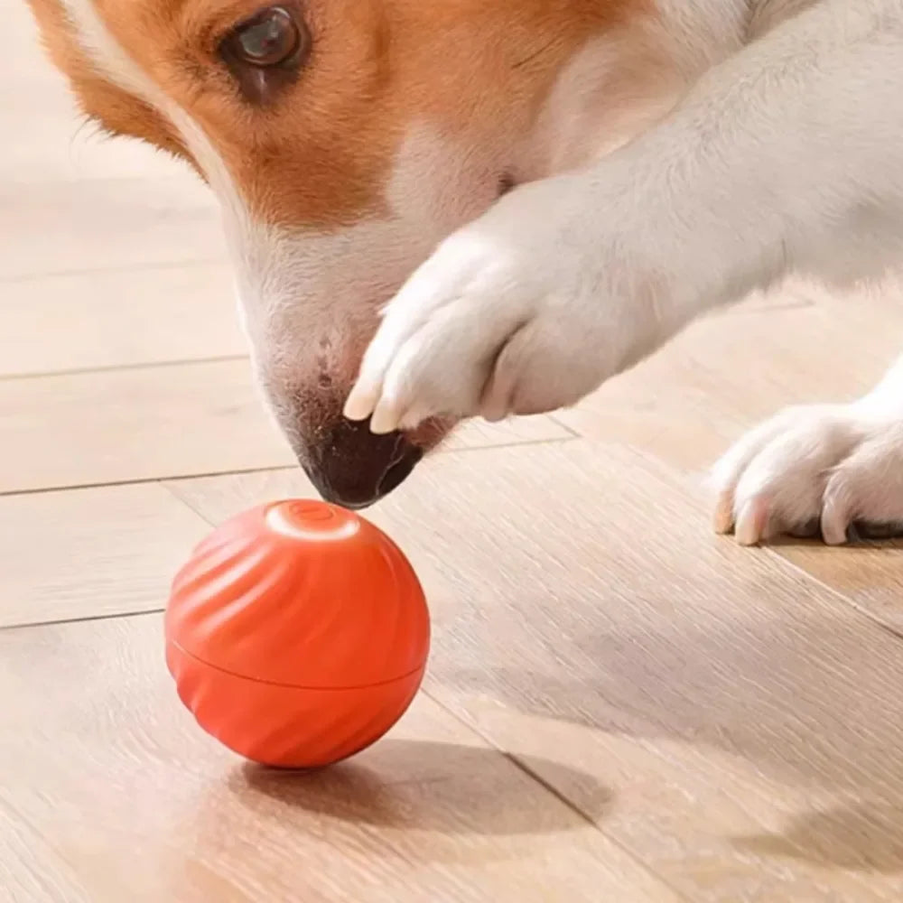 JumpiBall – Intelligente Springbal voor Honden