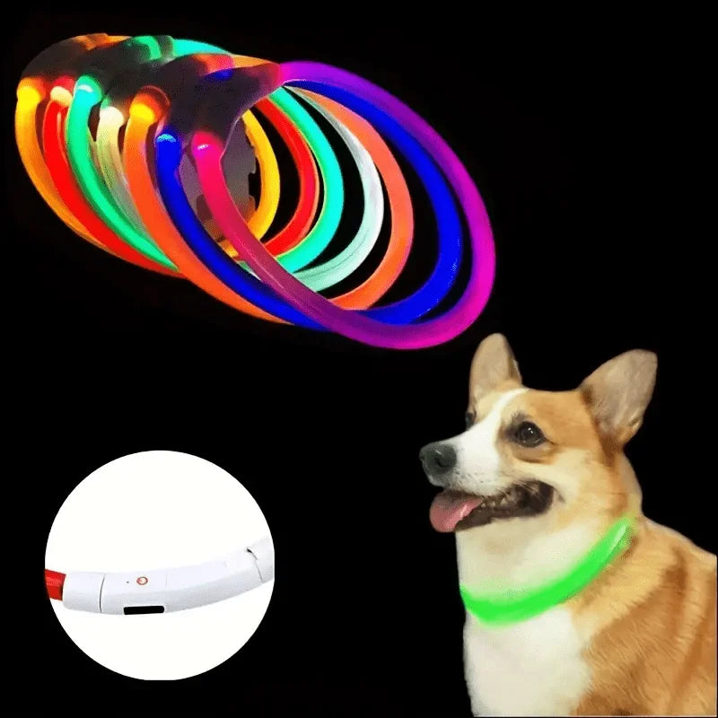 GlowGuard LED Veiligheidshalsband voor Honden – USB Oplaadbaar & Reflecterend