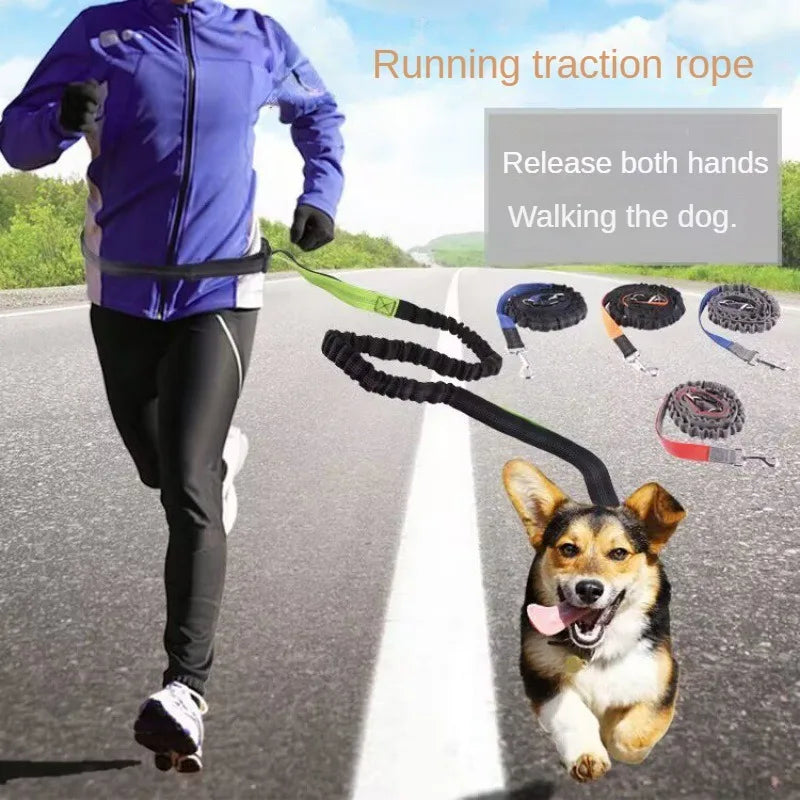 Handsfree Hondenriem met Heupgordel – Verstelbare Polyester Riem