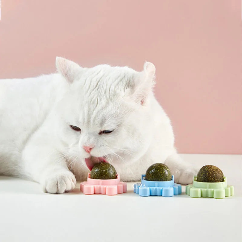 CatVita LickBall – Kattenkruid Lik- & Snackbal voor Tandverzorging en Gezonde Spijsvertering