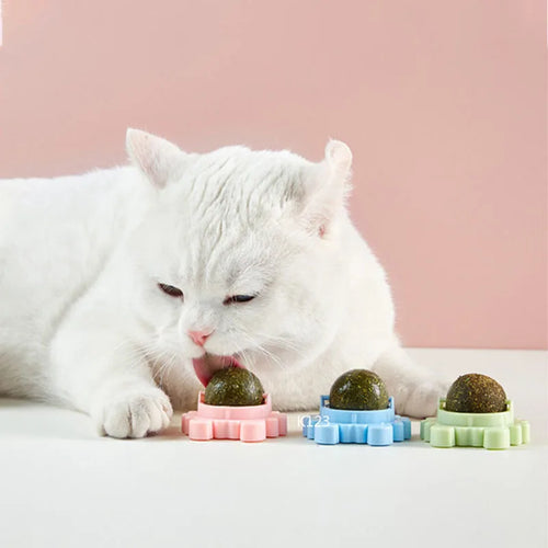 CatVita LickBall – Kattenkruid Lik- & Snackbal voor Tandverzorging en Gezonde Spijsvertering
