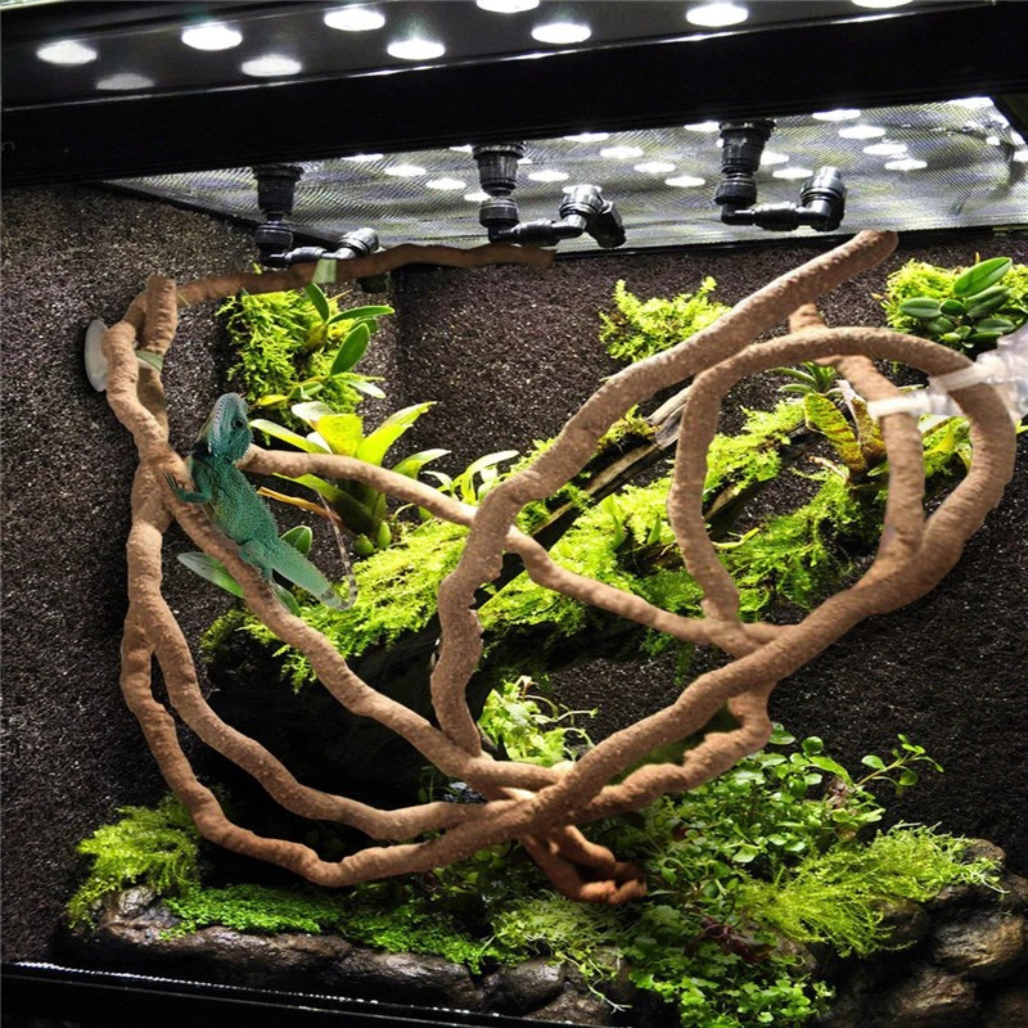 Flexibele klimtakken voor terrariums