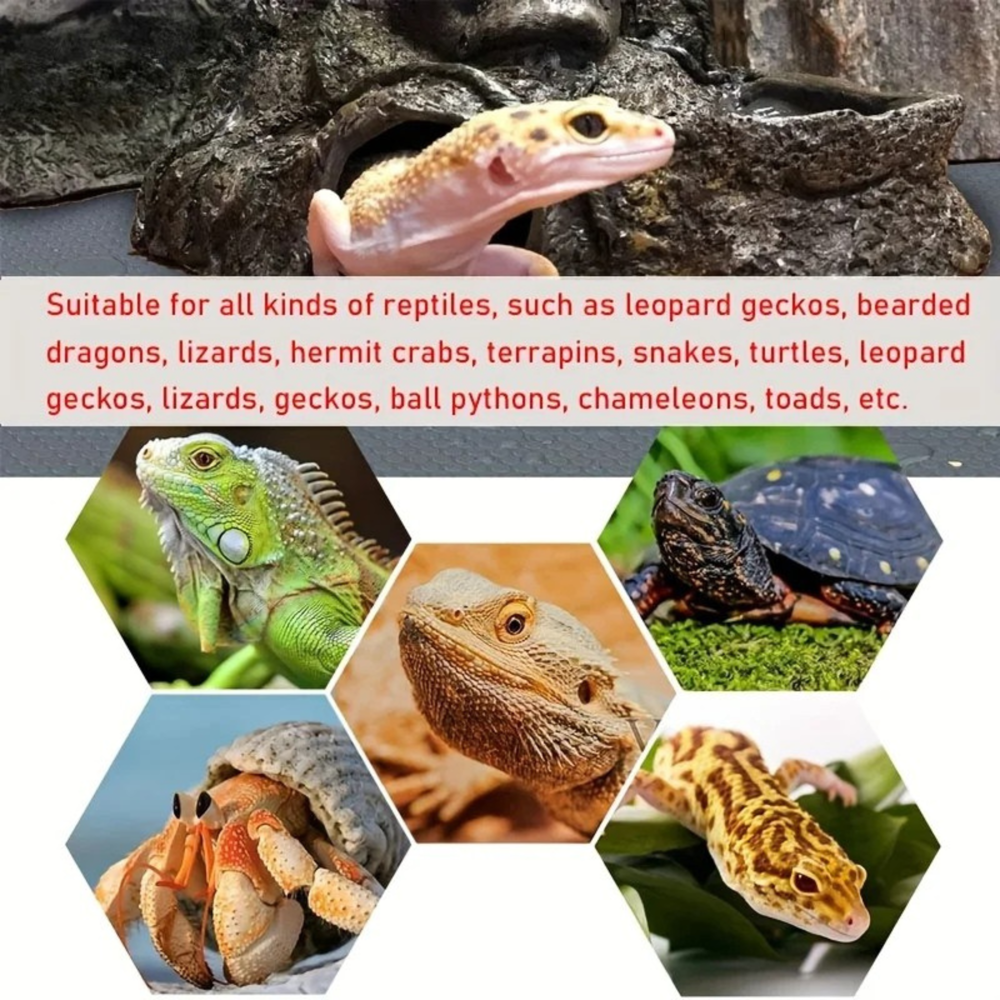 Terrarium voeringmat voor reptielen