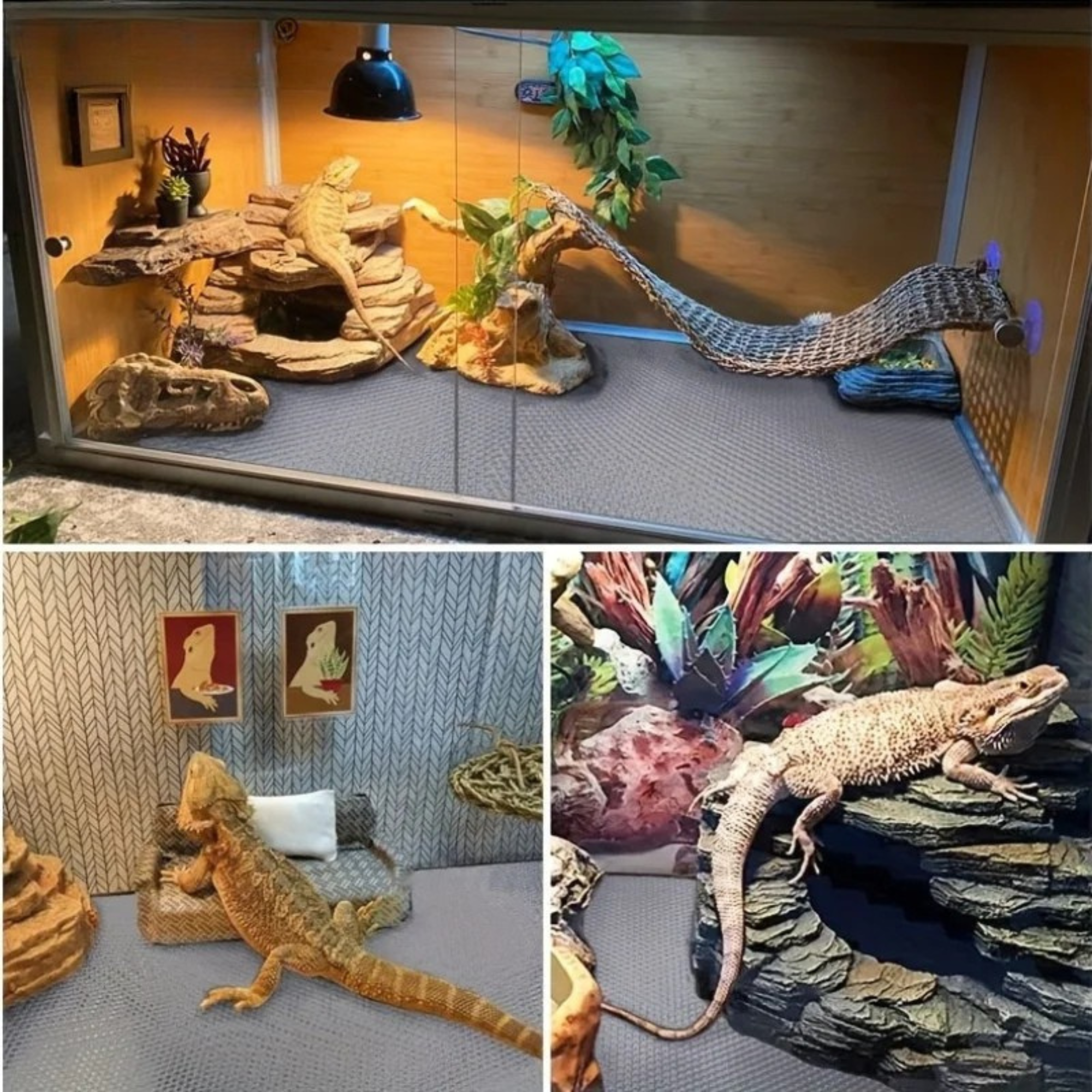 Terrarium voeringmat voor reptielen