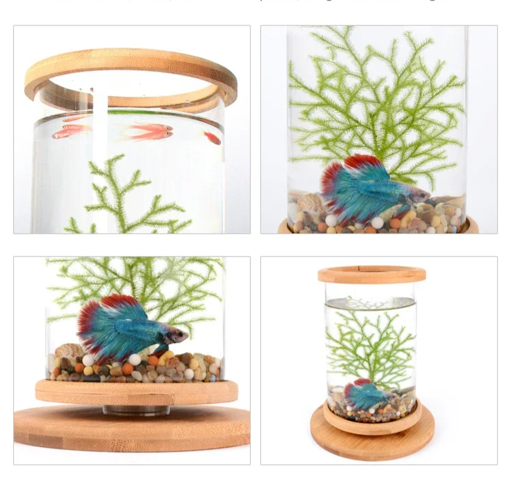 AquaGlow LED Cilindrisch Mini Aquarium
