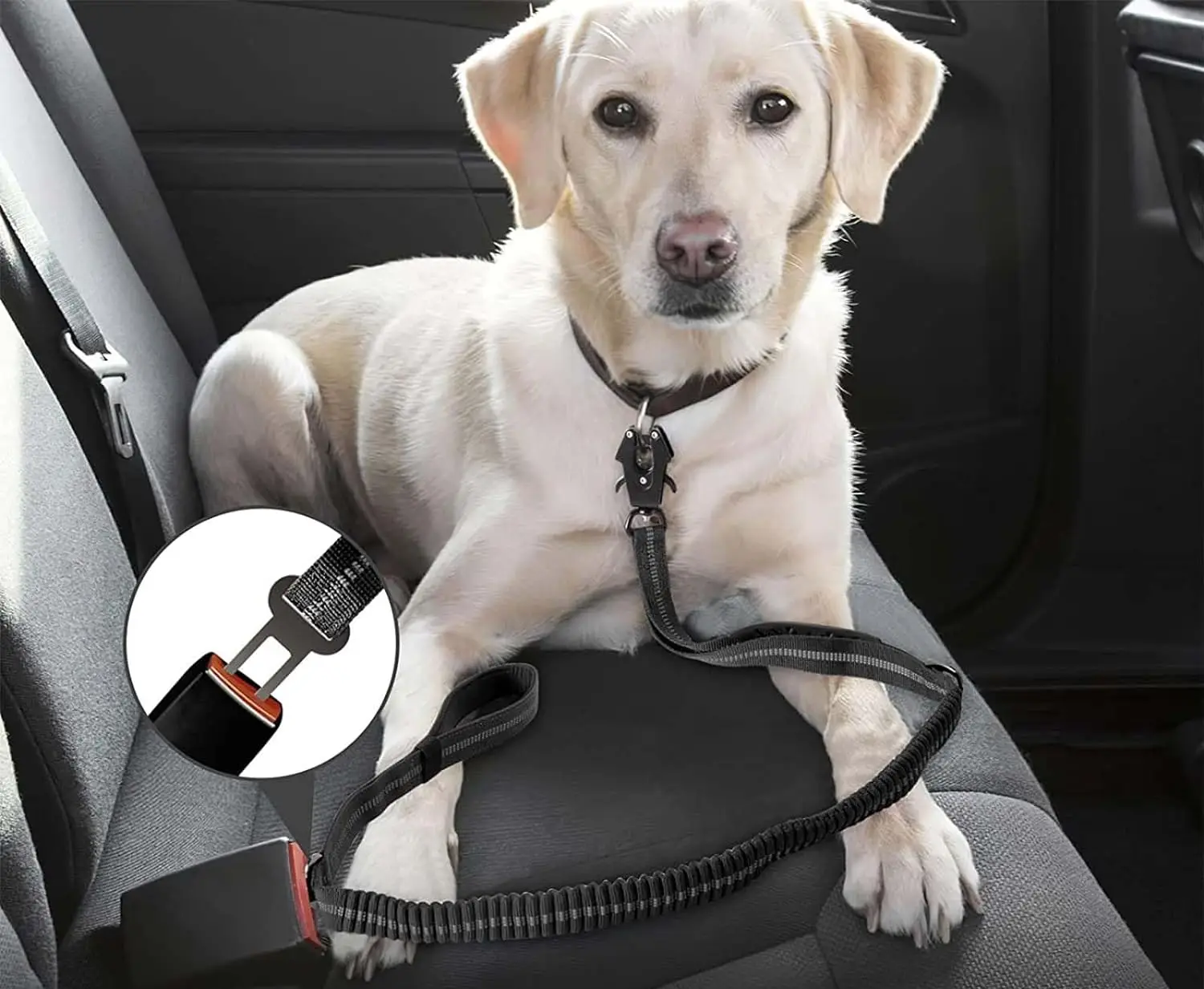 TACTIGRIP Reflecterende Schokabsorberende Hondenriem met Autogordel – Voor Krachtige en Actieve Honden