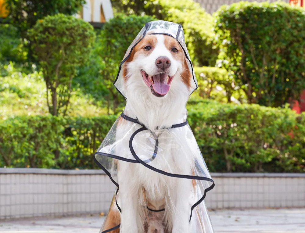 ClearPaw Transparante Regenjas voor Honden