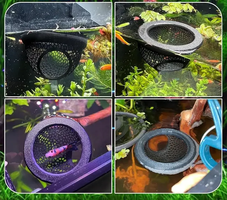 AquaHaven 3-in-1 Drijvende Grottenschuilplaats & Voederring voor Betta’s en Kleine Aquariumdieren