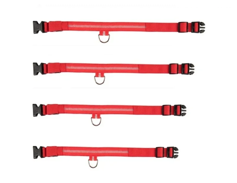 LumiSafe LED Hondenhalsband