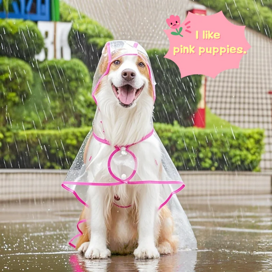 ClearPaw Transparante Regenjas voor Honden