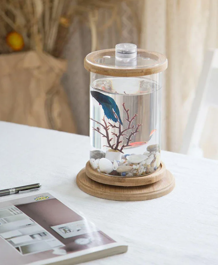 AquaGlow LED Cilindrisch Mini Aquarium