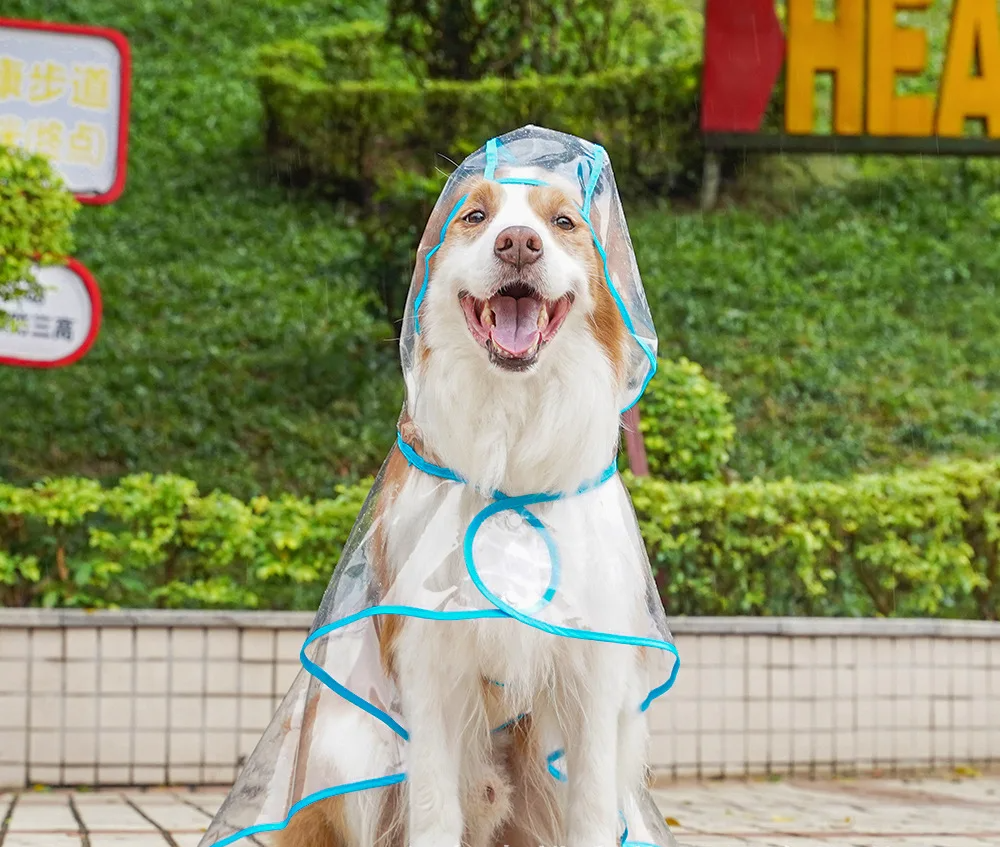 ClearPaw Transparante Regenjas voor Honden