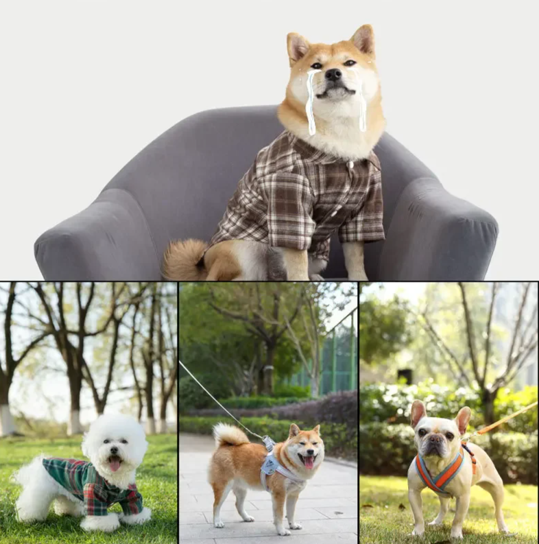 AeroPaw Zomerschoenen voor Honden – Ademend & Antislip