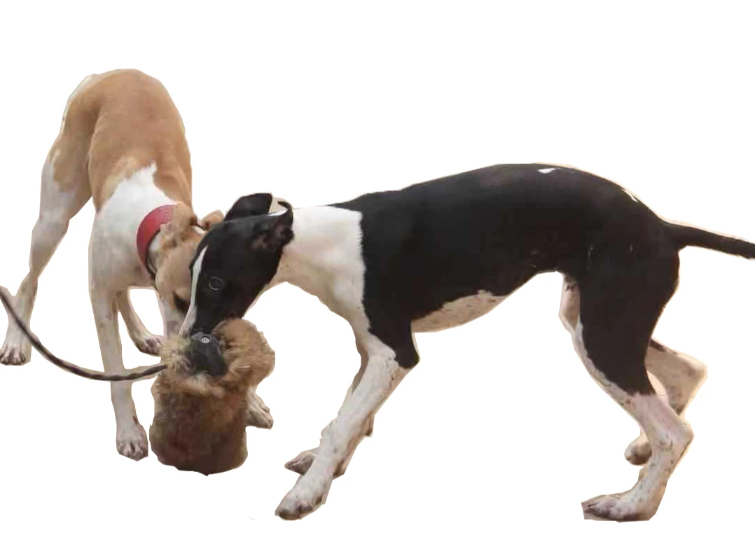 KlimPaws Hunting Dog Biting Toy