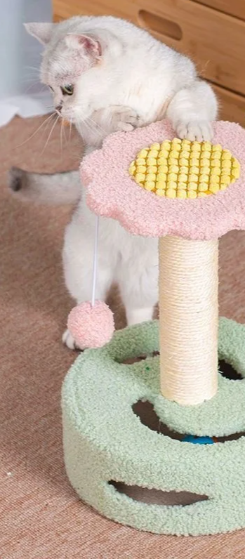 KlimPaws CozyClimb Kattenmeubel