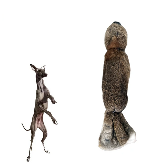 KlimPaws Hunting Dog Biting Toy