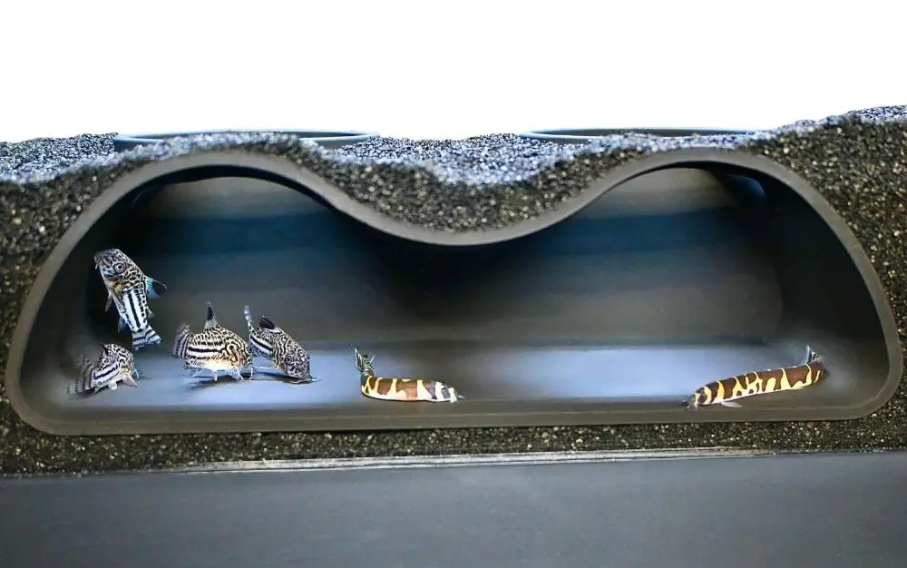 AquaTunnel Multifunctionele Ondergrondse Aquariumgrot