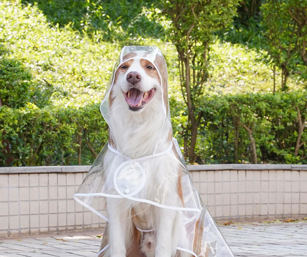 ClearPaw Transparante Regenjas voor Honden
